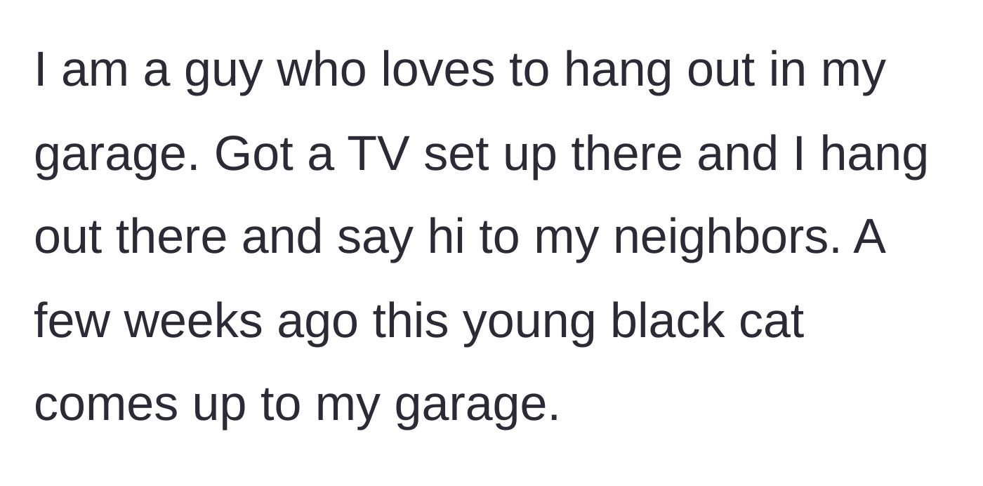 Story part 1 - A man hanging out in his garage is approached by a wandering young black cat.
