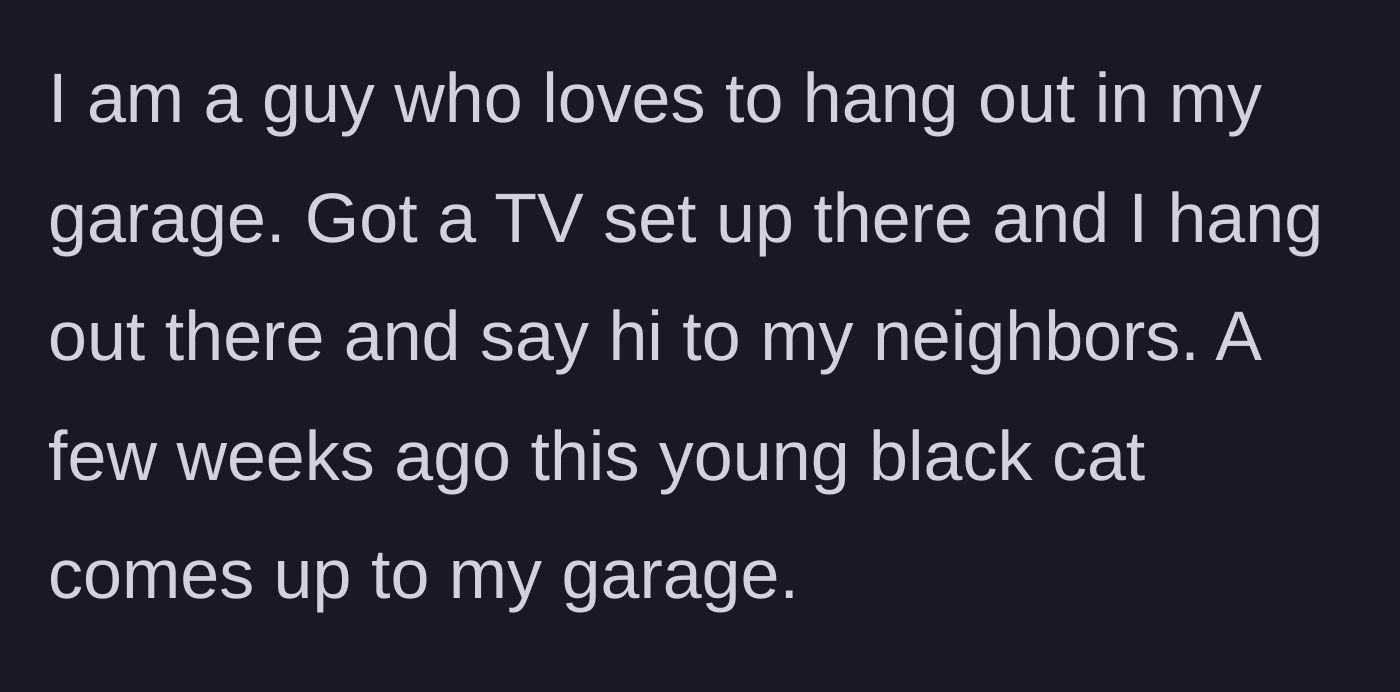 Story part 1 - A man hanging out in his garage is approached by a wandering young black cat.
