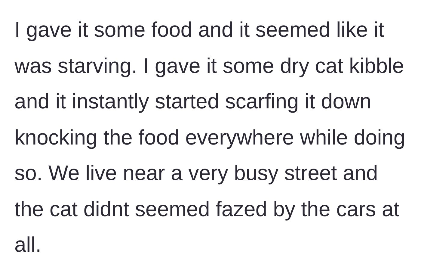 Story part 3 - The hungry cat ravenously eats dry kibble provided by the man near a dangerous, busy street.