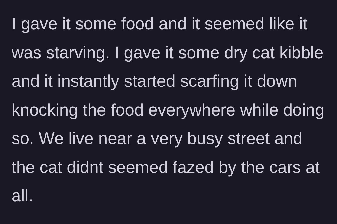 Story part 3 - The hungry cat ravenously eats dry kibble provided by the man near a dangerous, busy street.