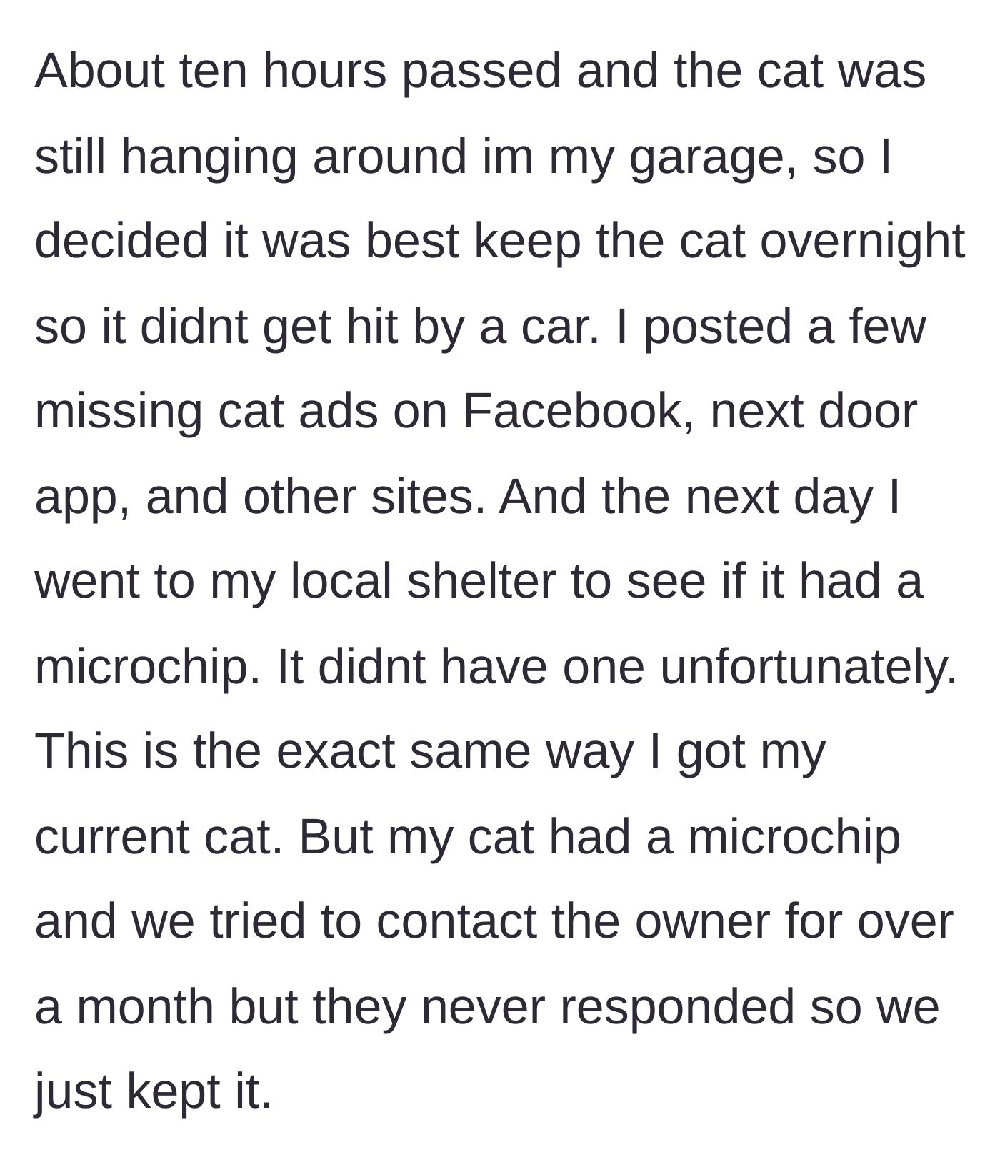 Story part 4 - The man keeps the cat safe overnight, posts missing ads, and discovers the cat is not microchipped.