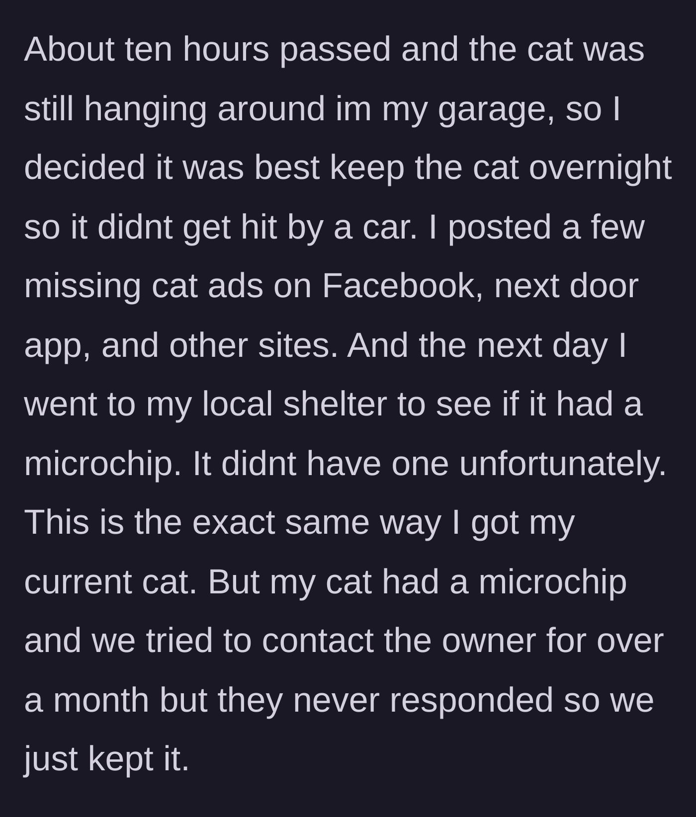 Story part 4 - The man keeps the cat safe overnight, posts missing ads, and discovers the cat is not microchipped.