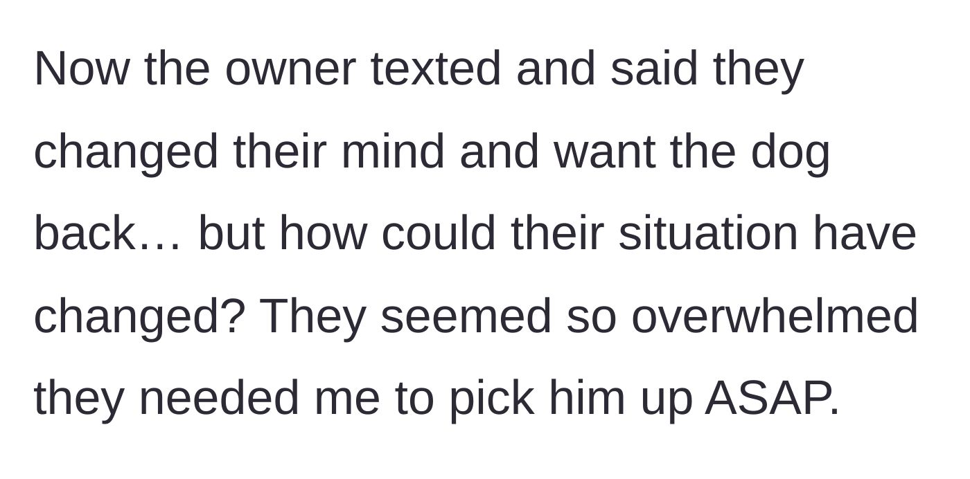 Story part 4 - The author revealing the sudden text message from the former owners demanding the dog back despite previously begging for immediate removal.