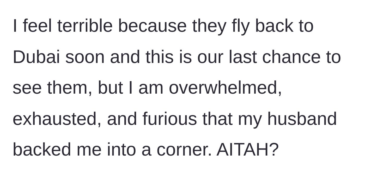Story part 5 - The wife feels guilty because it's the family's last chance to visit before flying home, but remains furious and overwhelmed.