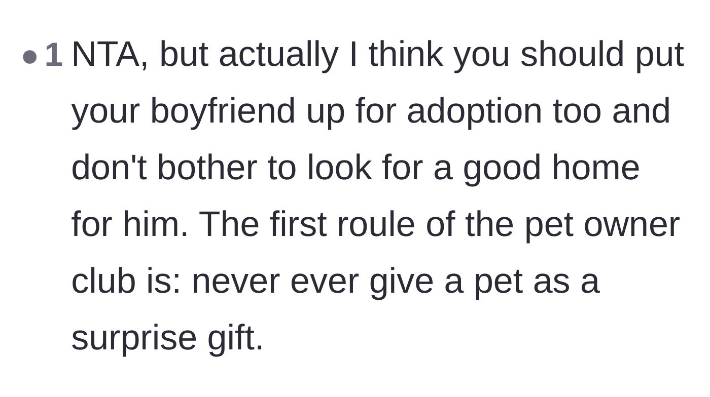 Comment thread 6 - A humorous but stern suggestion to rehome the boyfriend instead of just the puppy.