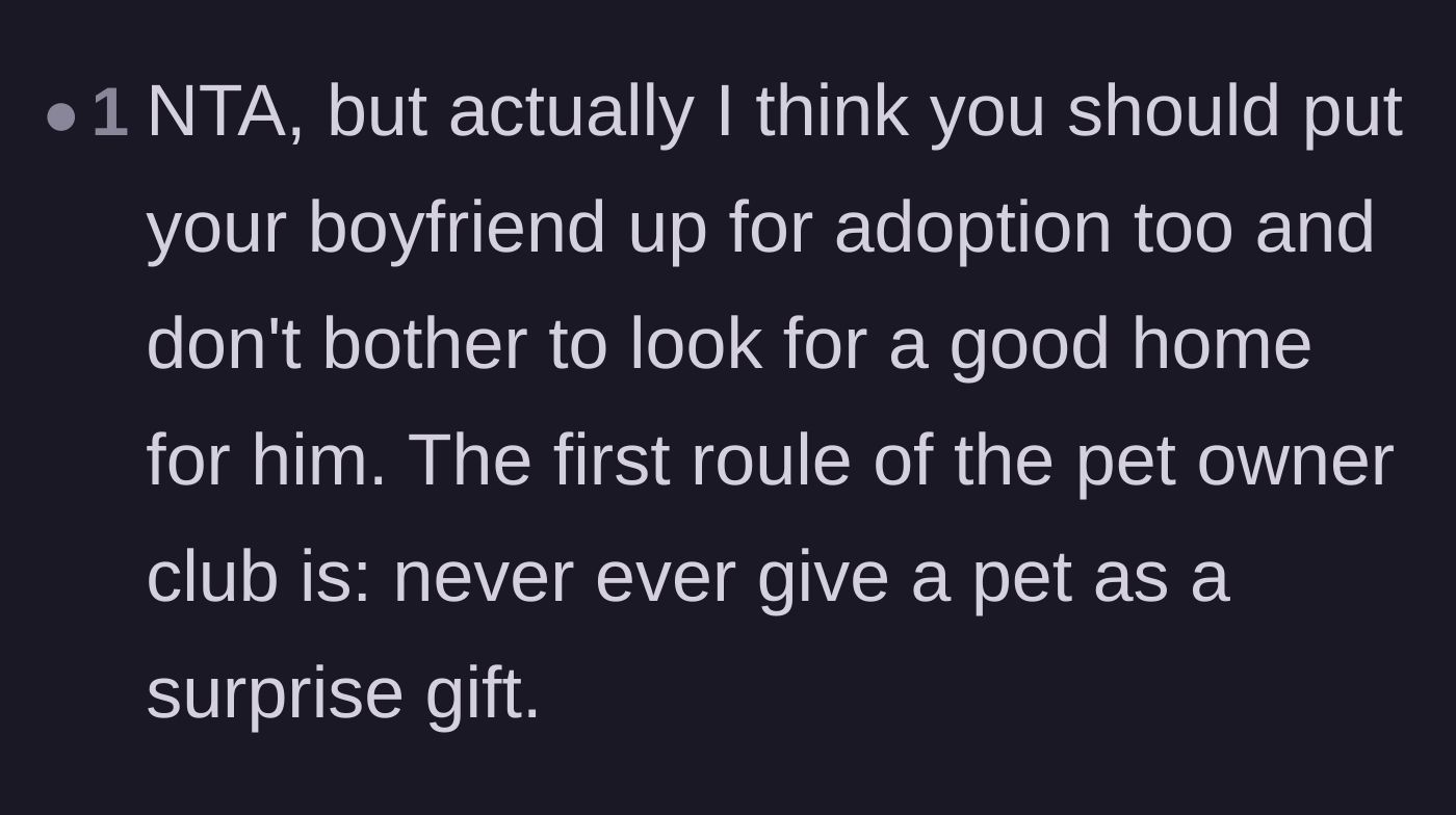 Comment thread 6 - A humorous but stern suggestion to rehome the boyfriend instead of just the puppy.
