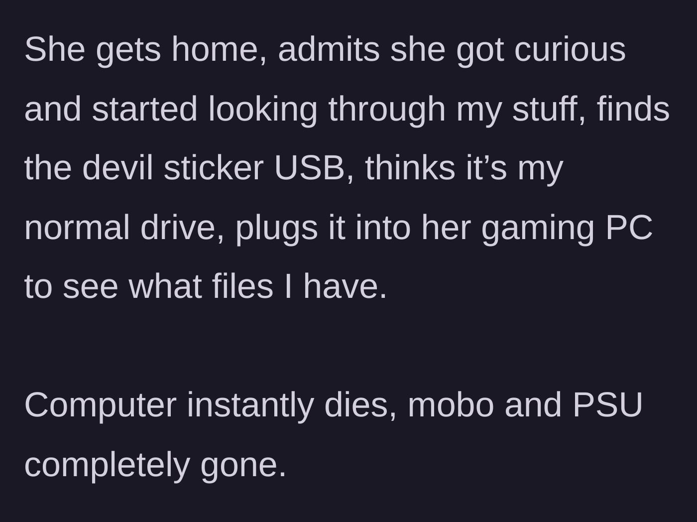 Story part 3 - The friend looks through the bag, finds the USB drive, and plugs it into her own gaming PC, instantly destroying the computer.