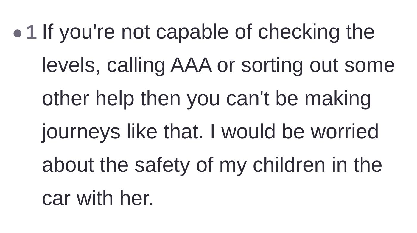 Comment thread 6 - Concerns from readers about the safety of the children when riding with a mother who cannot handle minor travel mishaps.