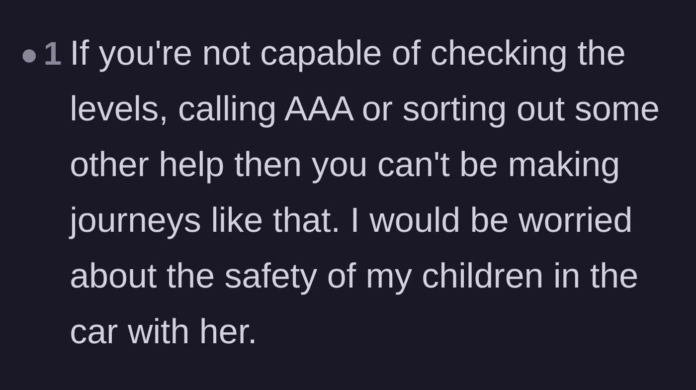 Comment thread 6 - Concerns from readers about the safety of the children when riding with a mother who cannot handle minor travel mishaps.