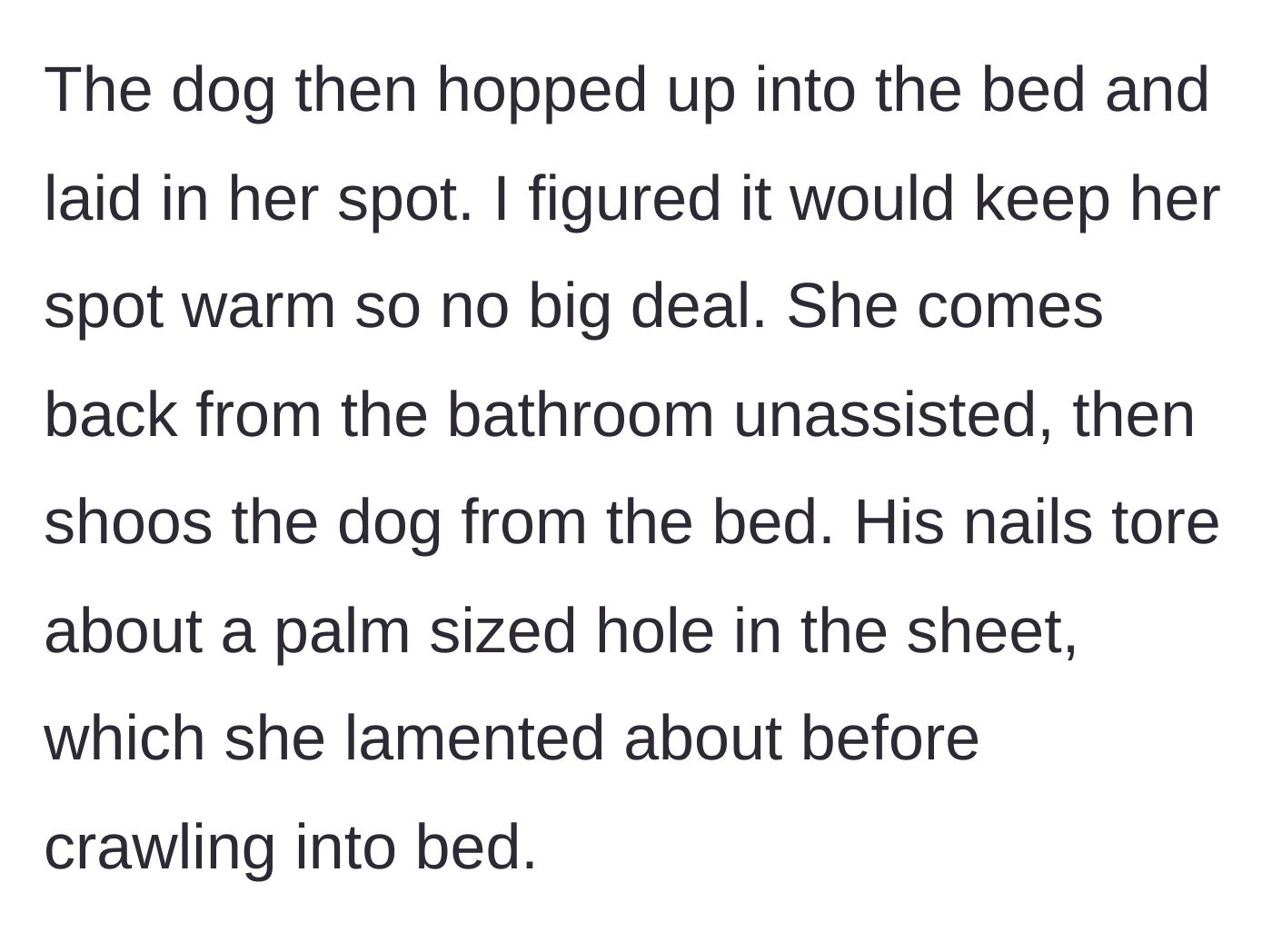Story part 3 - The dog takes the wife's warm spot, and when she shoos him away, his nails tear the bedsheet.