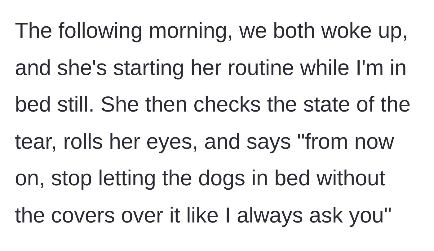 Story part 4 - The next morning, the wife rolls her eyes at the torn sheet and dictates a new rule about dogs in bed.