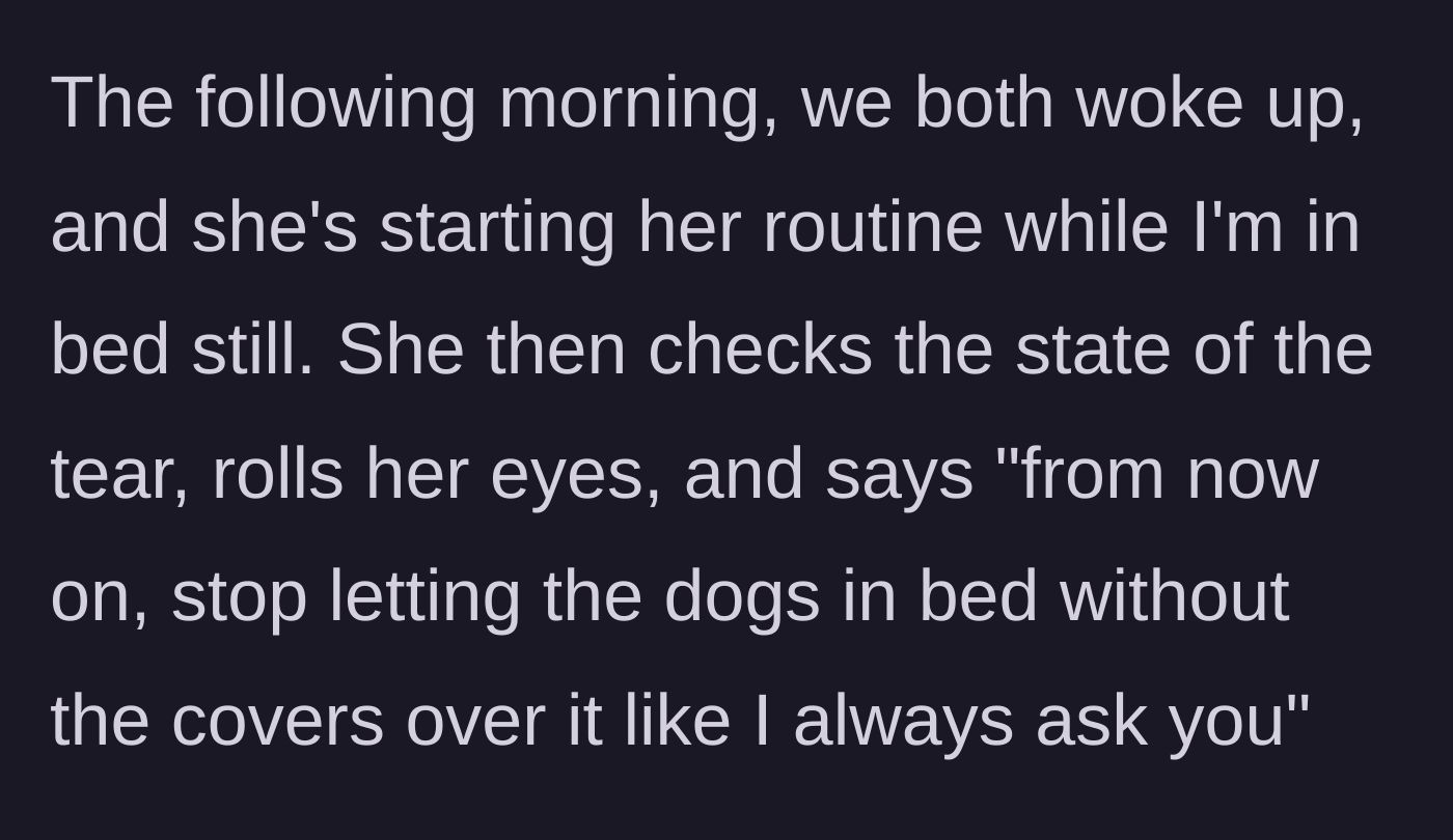 Story part 4 - The next morning, the wife rolls her eyes at the torn sheet and dictates a new rule about dogs in bed.