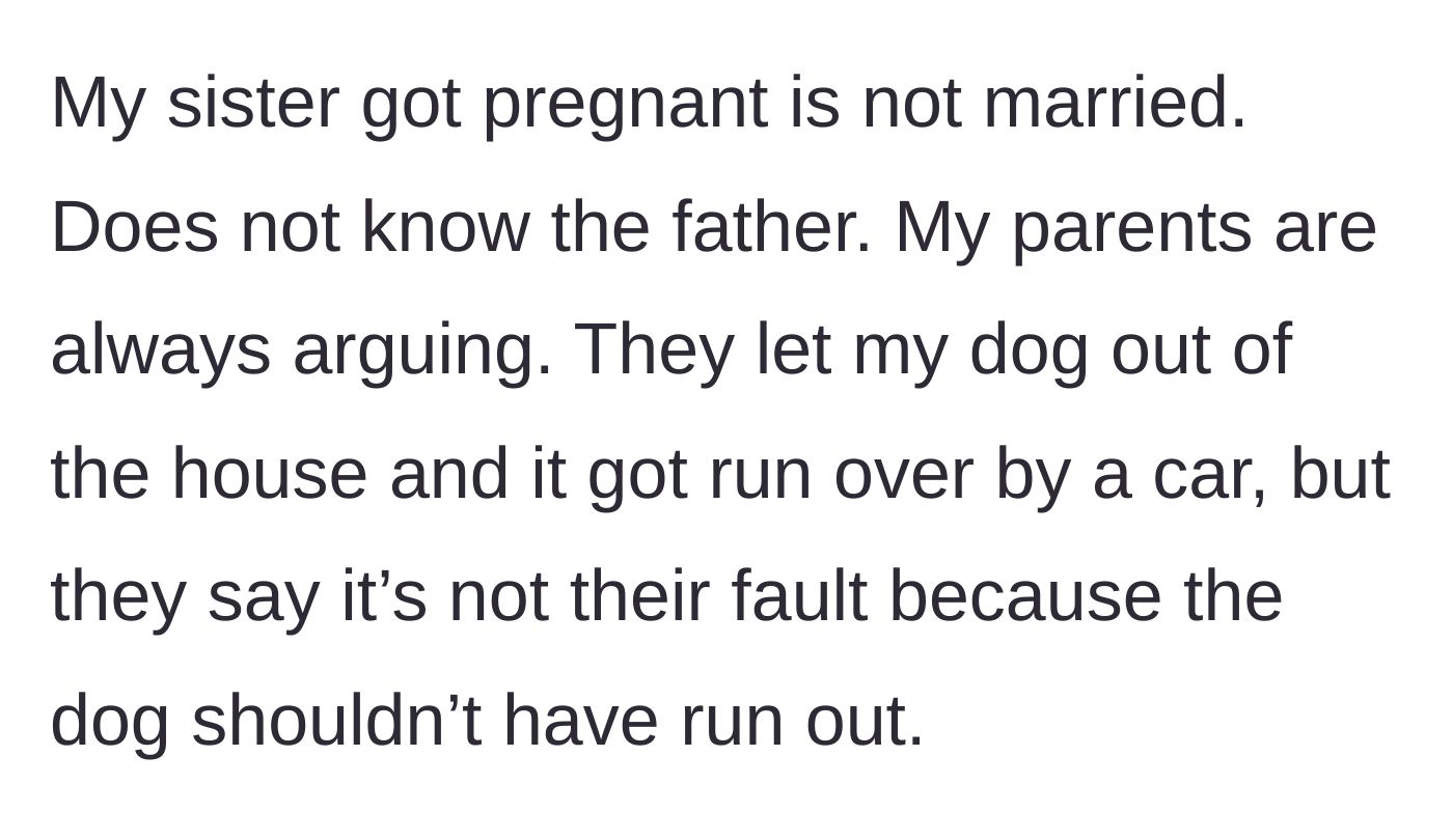 Story part 2 - Sister is unmarried and pregnant, while the constantly arguing parents negligently let his dog out to be killed by a car and refuse to take blame.