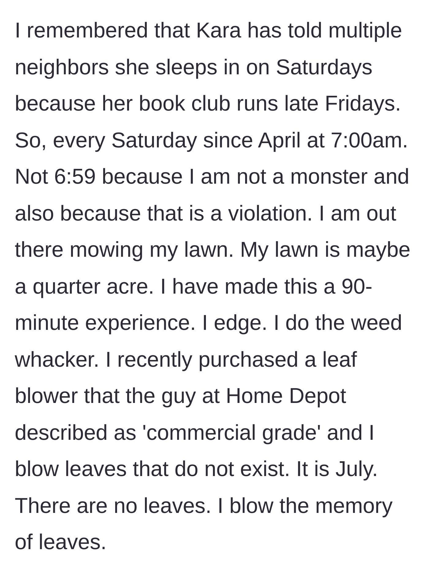 Story part 4 - The execution of the 7 AM Saturday morning lawn care routine, complete with a commercial leaf blower blowing non-existent leaves.