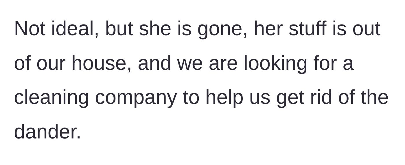Story part 3 - The main character confirms the sister's departure and plans for professional deep cleaning.
