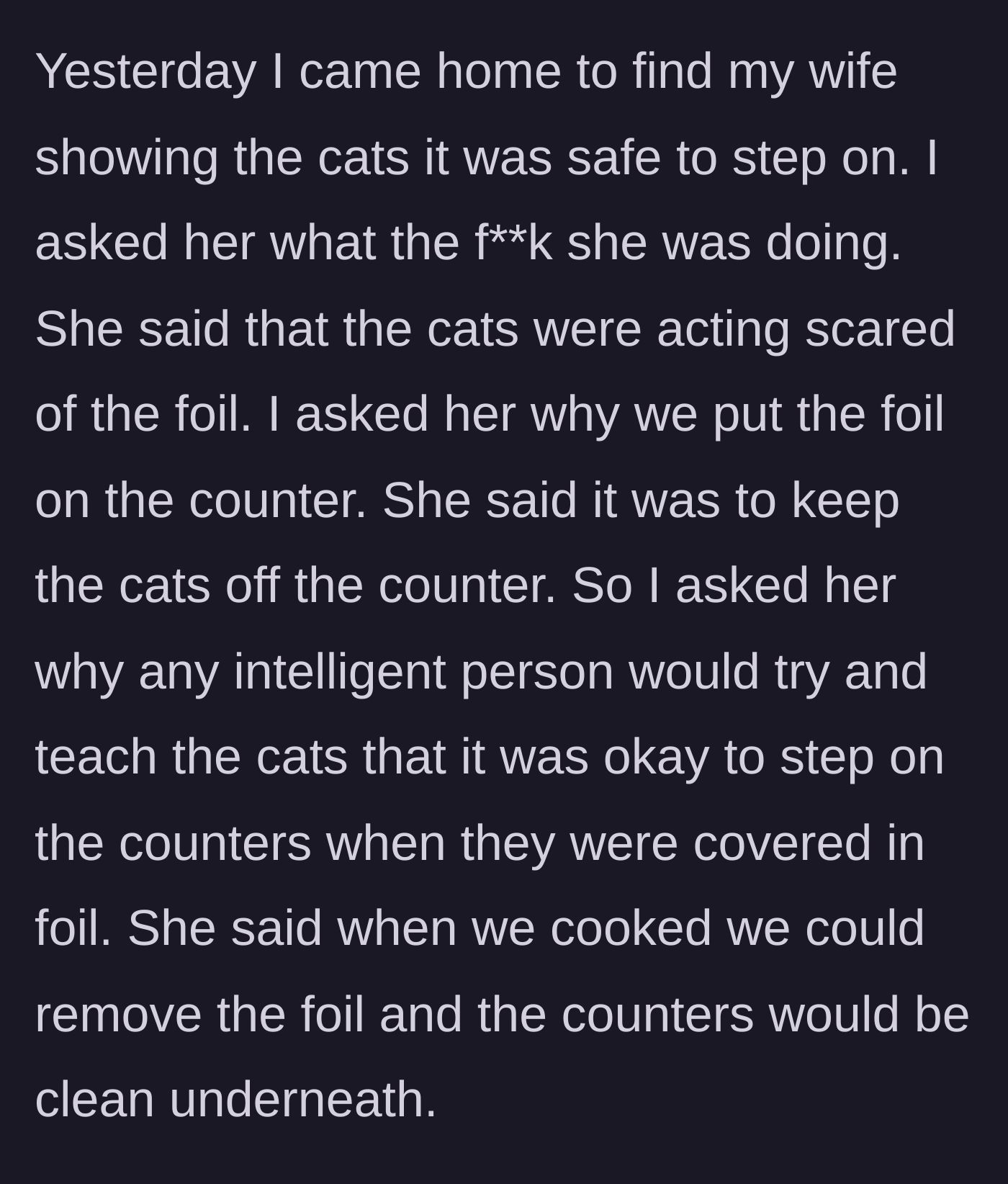 Story part 3 - A wife gently coaxing her cats to walk comfortably on the tin foil-covered counters.