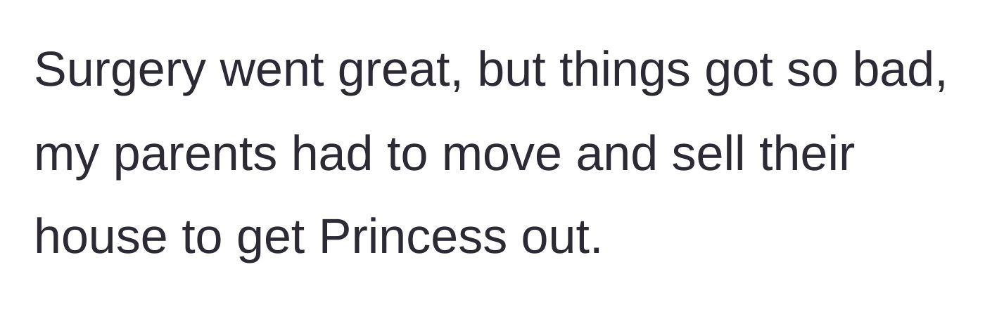 Story part 10 - The update that the surgery was successful, but the parents had to sell their house to finally evict Princess.