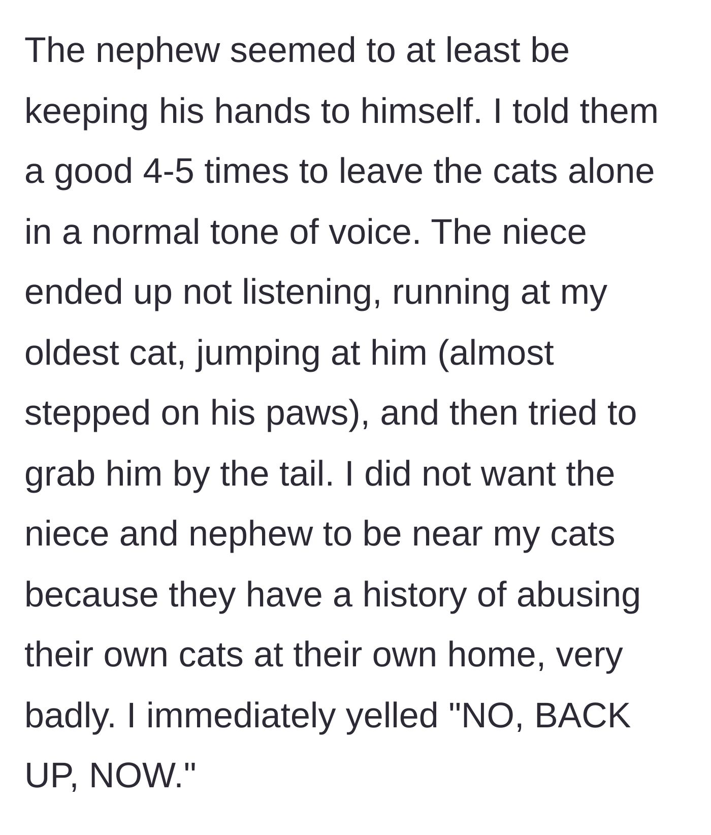 Story part 2 - The niece completely ignores repeated gentle warnings and aggressively lunges at the cat, prompting the homeowner to loudly intervene.
