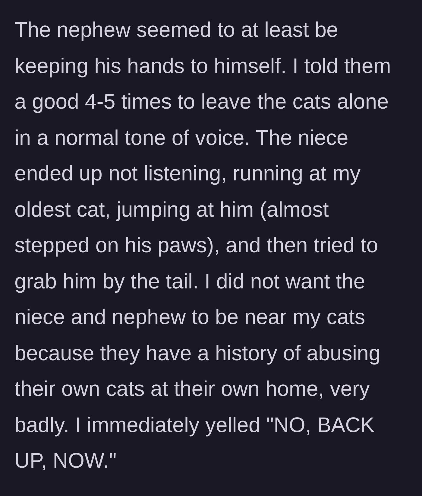 Story part 2 - The niece completely ignores repeated gentle warnings and aggressively lunges at the cat, prompting the homeowner to loudly intervene.