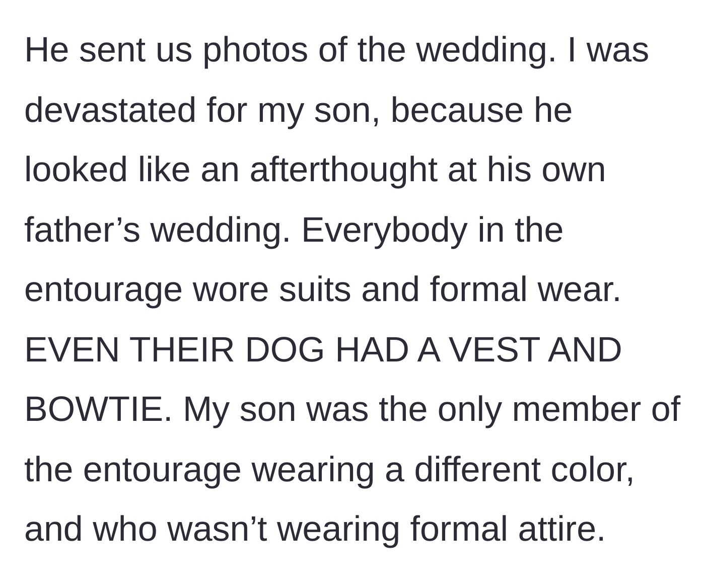 Story part 3 - A wedding party photo showing groomsmen in tailored suits, a dog in a bowtie, and one teenage boy looking painfully out of place in a polo shirt.