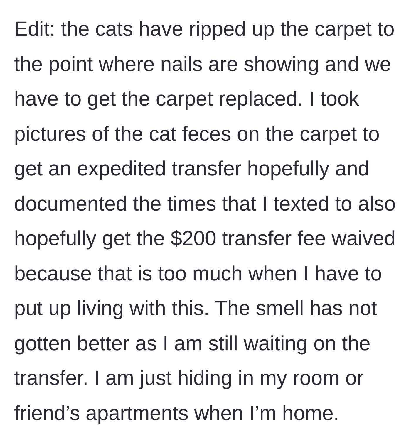 Story part 7 - The cats ruined the carpet down to the nails, prompting a plea for waived transfer fees while hiding from the smell.
