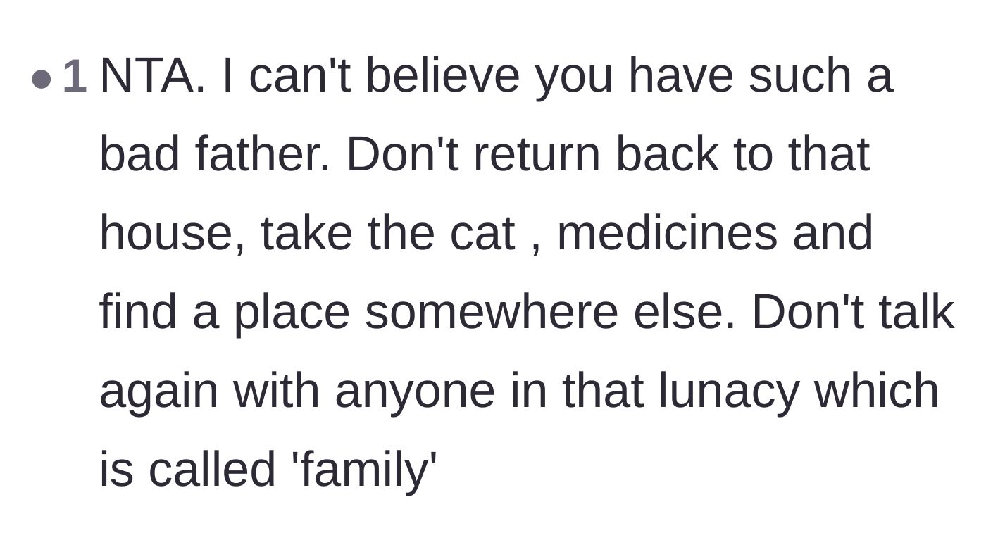 Comment thread 2 - Advice urging the teenager to take her medication and cat, permanently leave the toxic house, and cut contact.