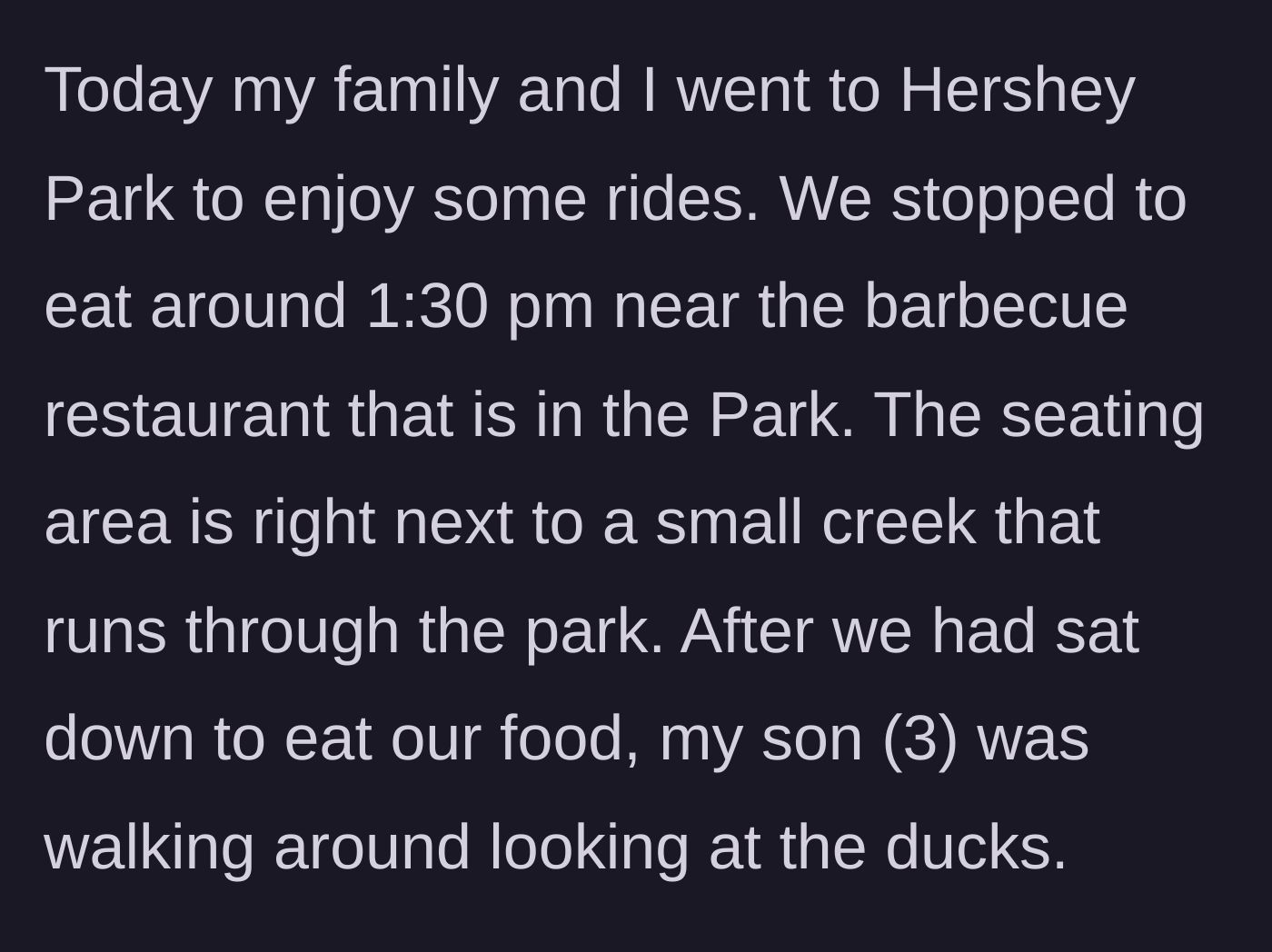 Story part 1 - A family enjoys a peaceful barbecue lunch near a creek at Hershey Park while their toddler watches the local ducks.