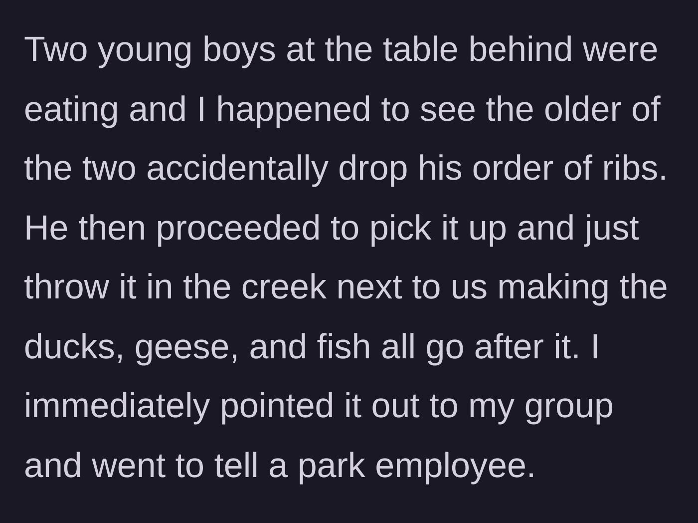 Story part 2 - An older boy drops his barbecue ribs and tosses the messy food directly into the creek, prompting the narrator to report the littering to park staff.