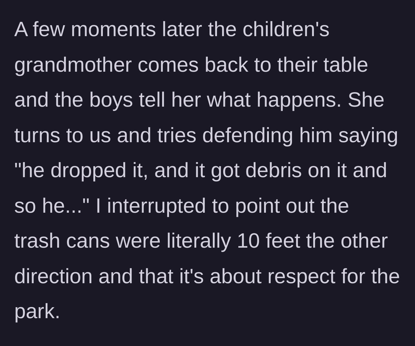 Story part 3 - The boy's grandmother attempts to excuse his behavior, but the narrator shuts it down by pointing out nearby trash cans.