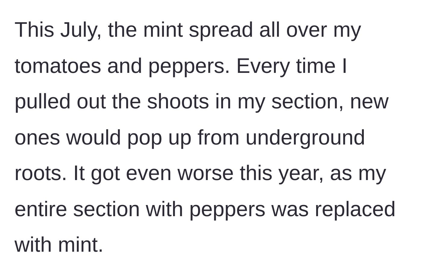 Story part 3 - The mint aggressively spreading and overtaking the main character's carefully cultivated tomatoes and peppers.
