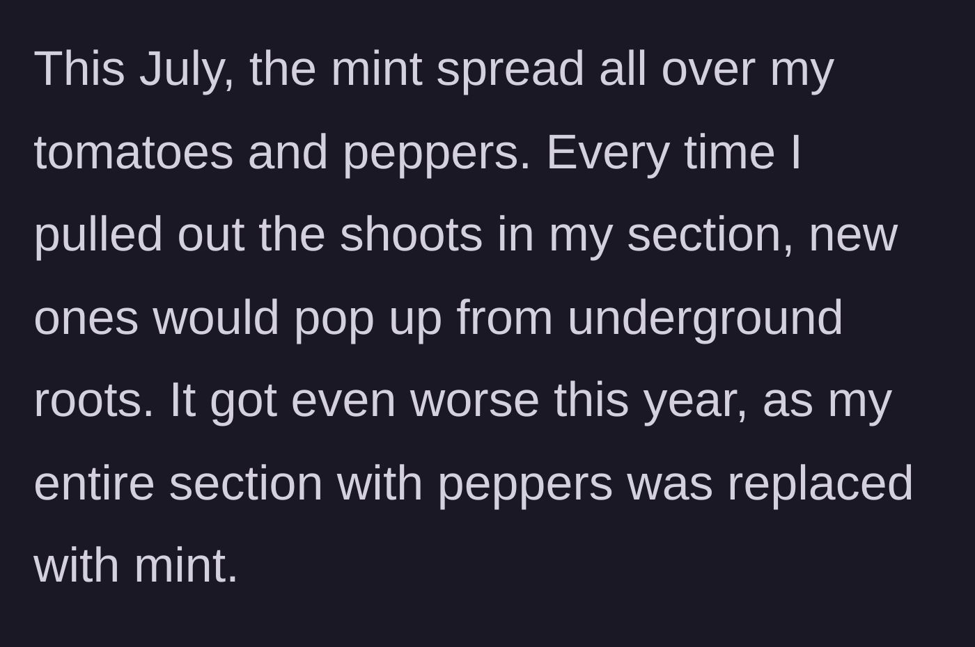 Story part 3 - The mint aggressively spreading and overtaking the main character's carefully cultivated tomatoes and peppers.