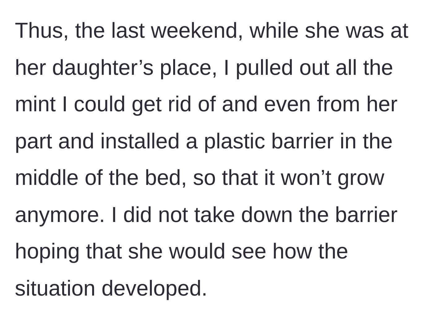 Story part 5 - The main character snapping, uprooting all the mint from both sides, and installing a plastic barrier while the neighbor is away.