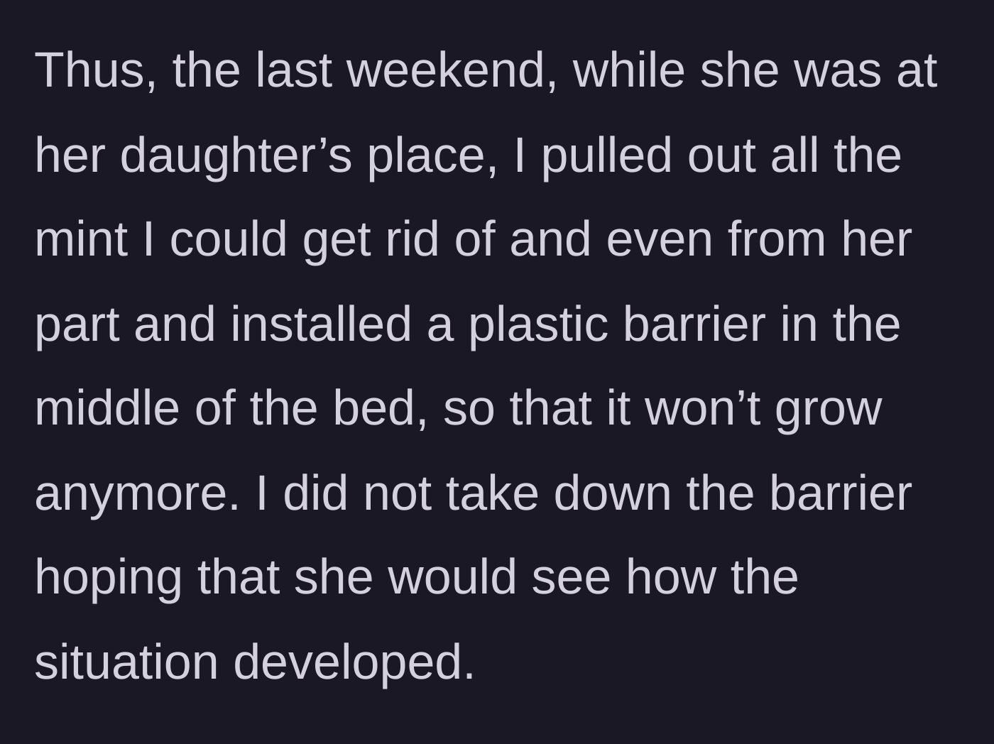 Story part 5 - The main character snapping, uprooting all the mint from both sides, and installing a plastic barrier while the neighbor is away.