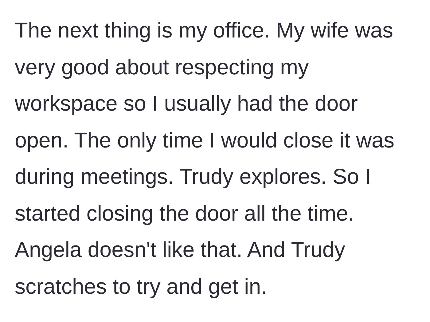 Story part 5 - The puppy scratches at the husband's home office door, forcing him to lock himself in